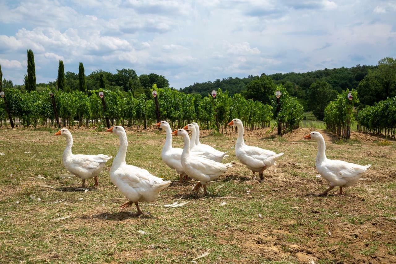 Palagina La Cascina Villa Figline Valdarno Ngoại thất bức ảnh